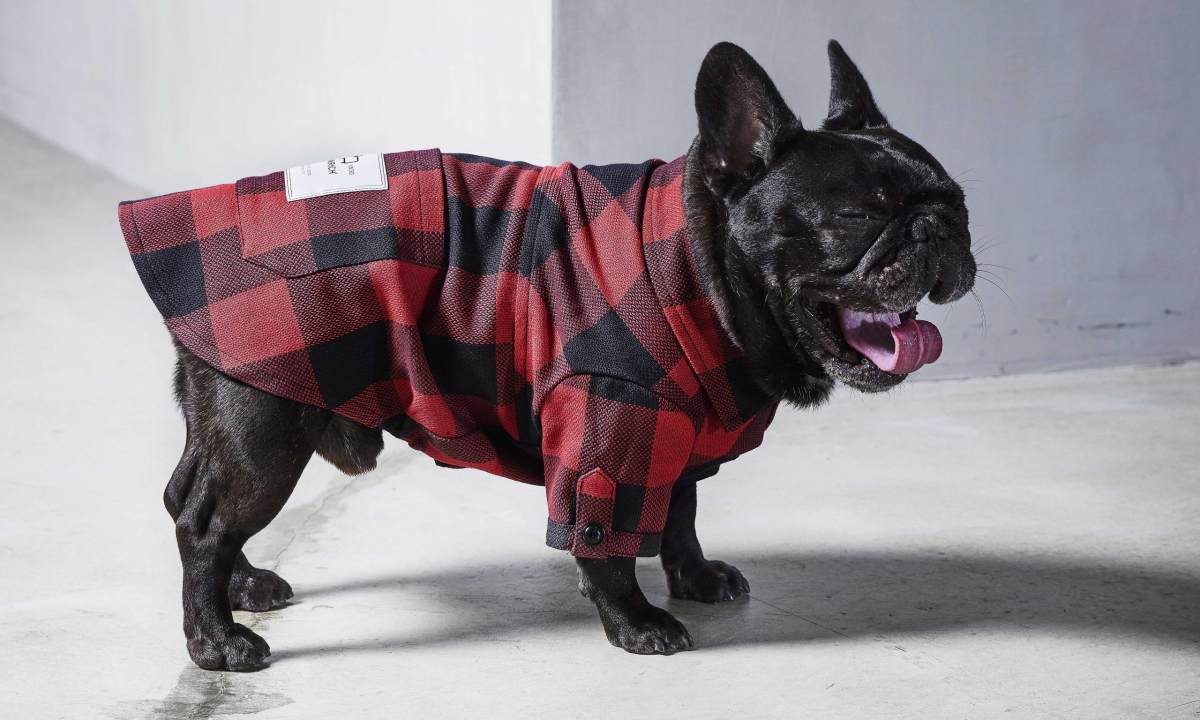 Woolrich 携手 Temellini Dog à Porter 打造首个狗狗服饰系列