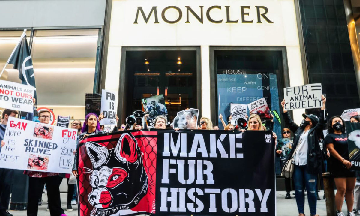 Moncler 表示将逐步摆脱使用皮草