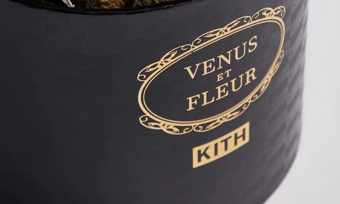 KITH x VENUS ET FLEUR 合作系列即将登场
