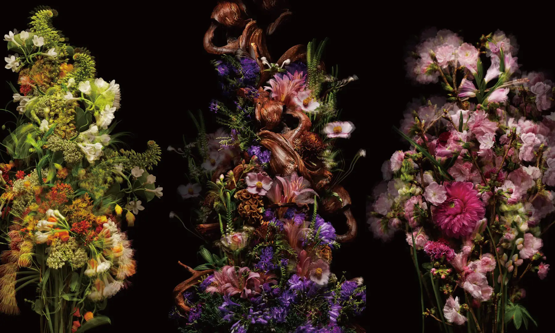MAISON CHRISTIAN DIOR 携花卉艺术家 AZUMA MAKOTO 打造合作系列