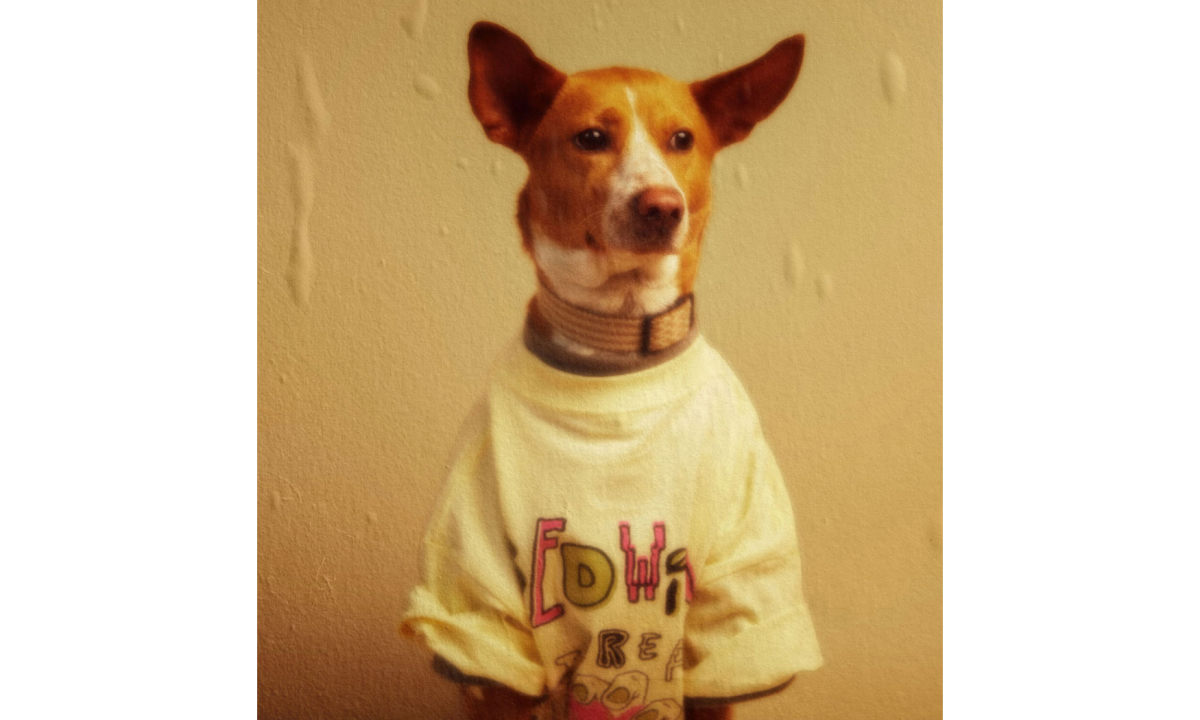 BEDWIN & THE HEARTBREAKERS 将于上海 DOE 开设主题 Pop-up