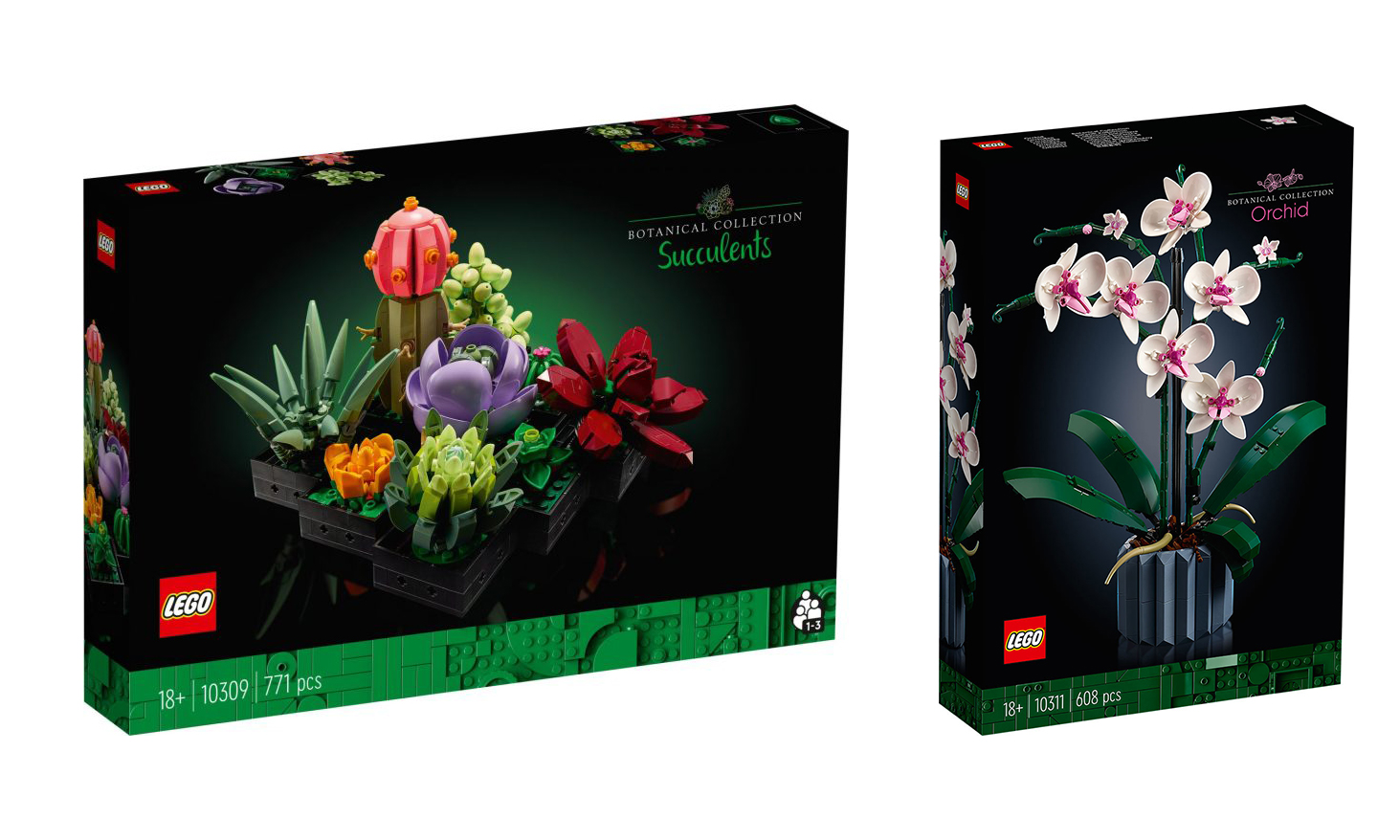 LEGO 推出 10309 多肉植物与 10311 兰花创意盒组