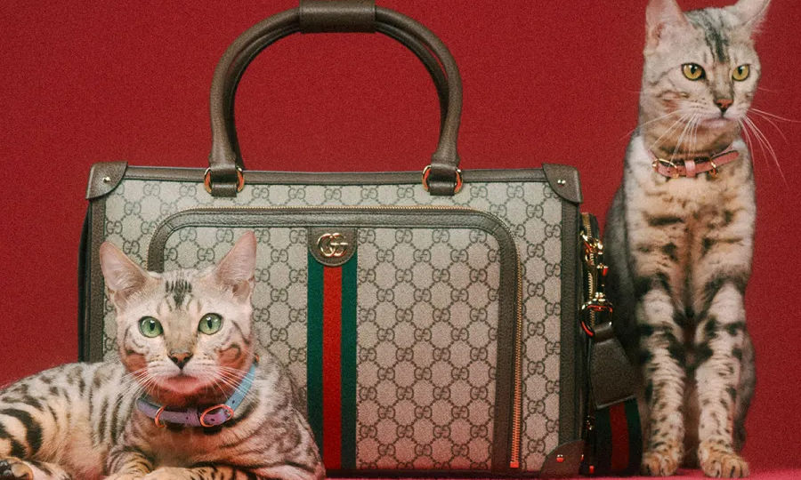 GUCCI 推出全新宠物系列