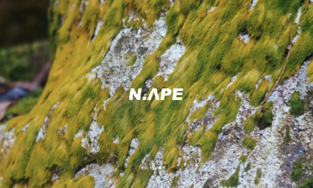 数字艺术工作室 N-APE STUDIO 顽猴发布六周年概念纪录片