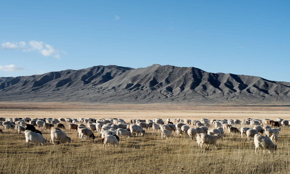 承诺在 2024 年，杰尼亚 Oasi Cashmere 所有纤维将实现可追溯性