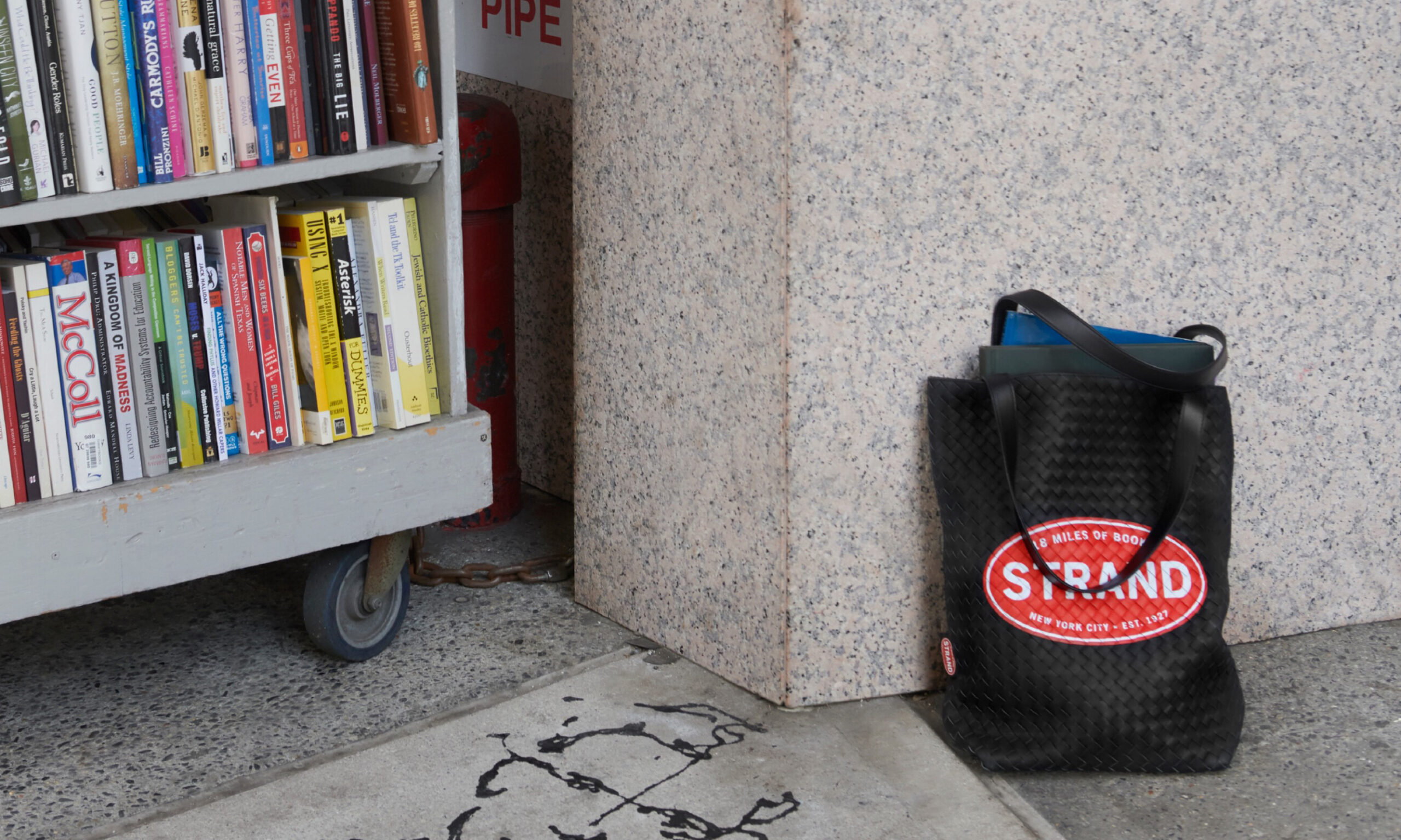 BOTTEGA VENETA 携手纽约 Strand 书店打造托特包系列