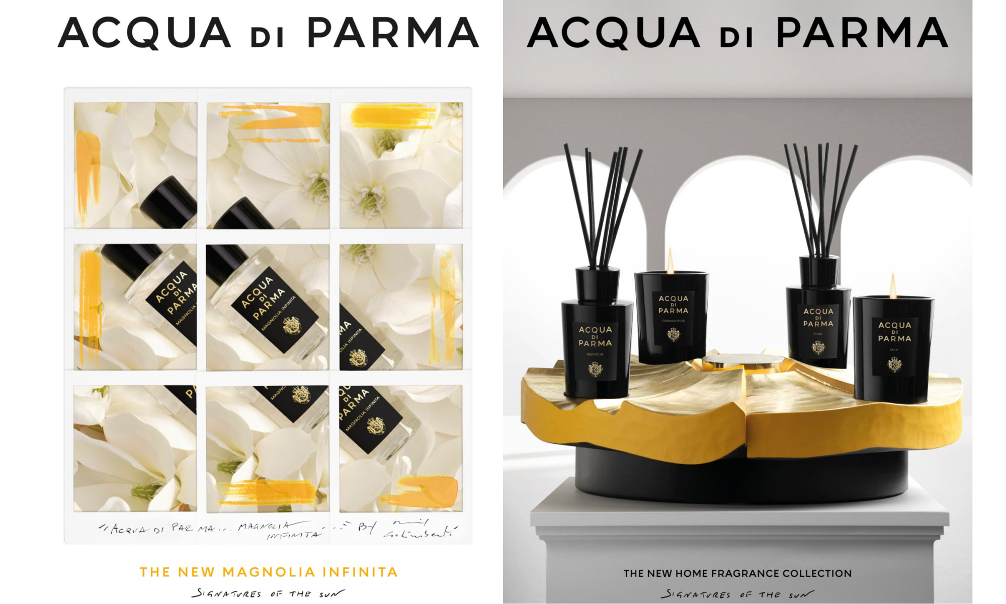 Acqua di Parma 推出全新香水和家居系列