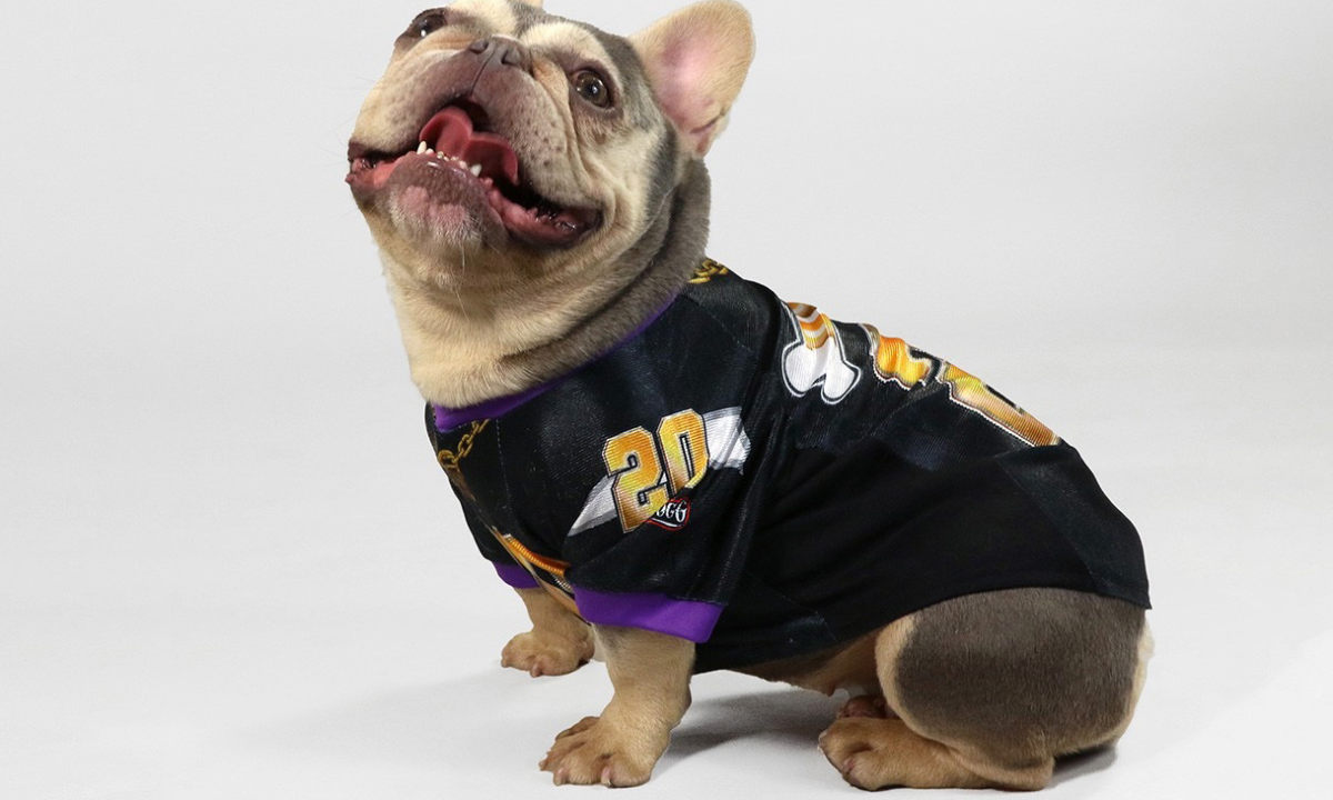 Snoop Dogg 推出宠物服饰品牌 Snoop Doggie Dogs