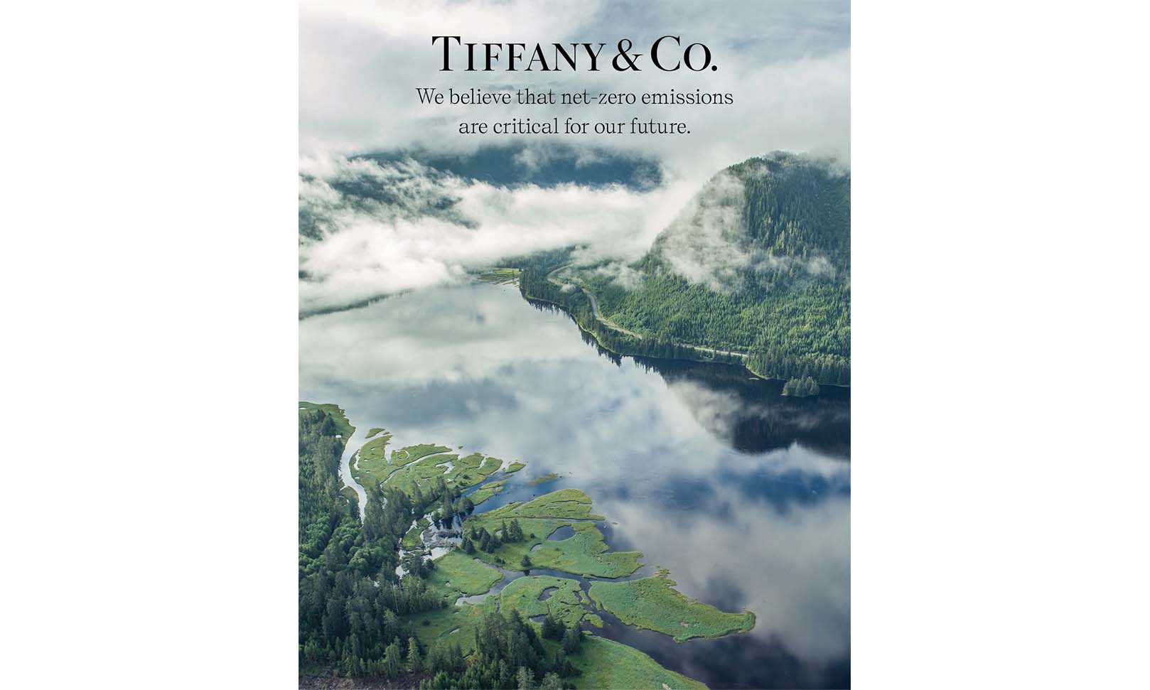 使用可回收材料，Tiffany & Co. 承诺至 2040 年实现净零碳排放