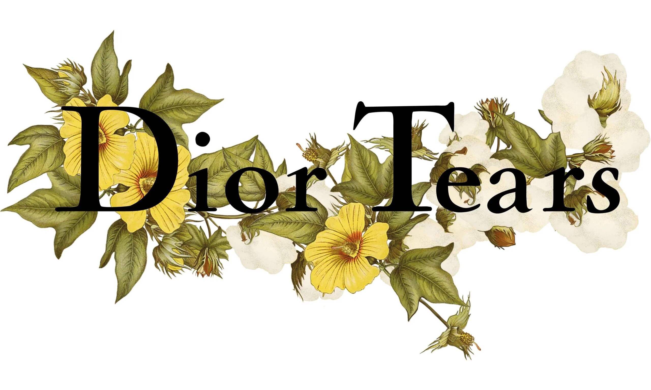 DIOR 携手 Tremaine Emory 发布「DIOR Tears」胶囊系列