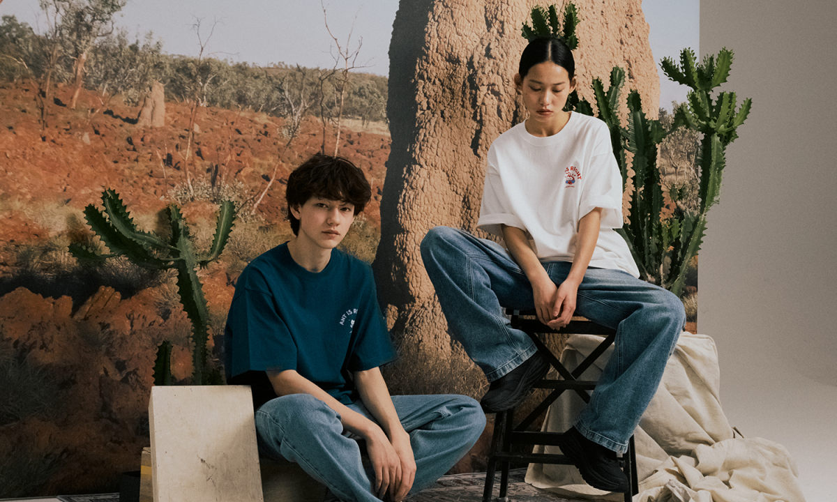 Ant is right，Aveineil 全新原创品牌形象「Ant Cech」正式亮相