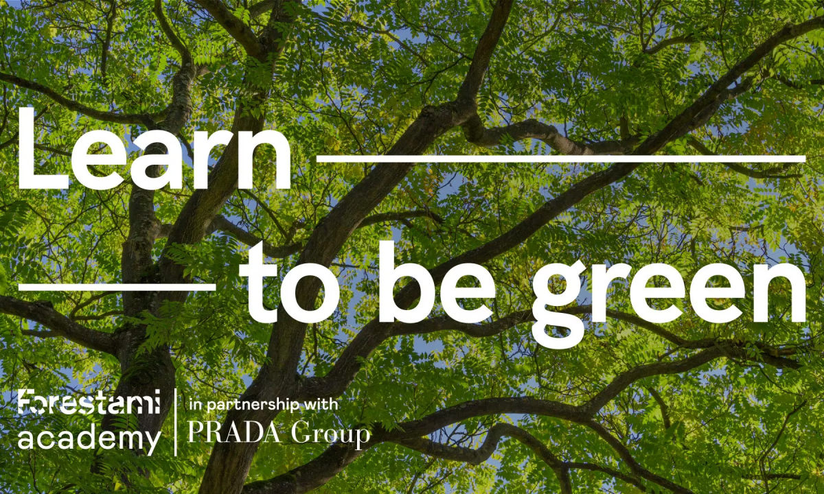 PRADA 集团开设 Forestami 学院