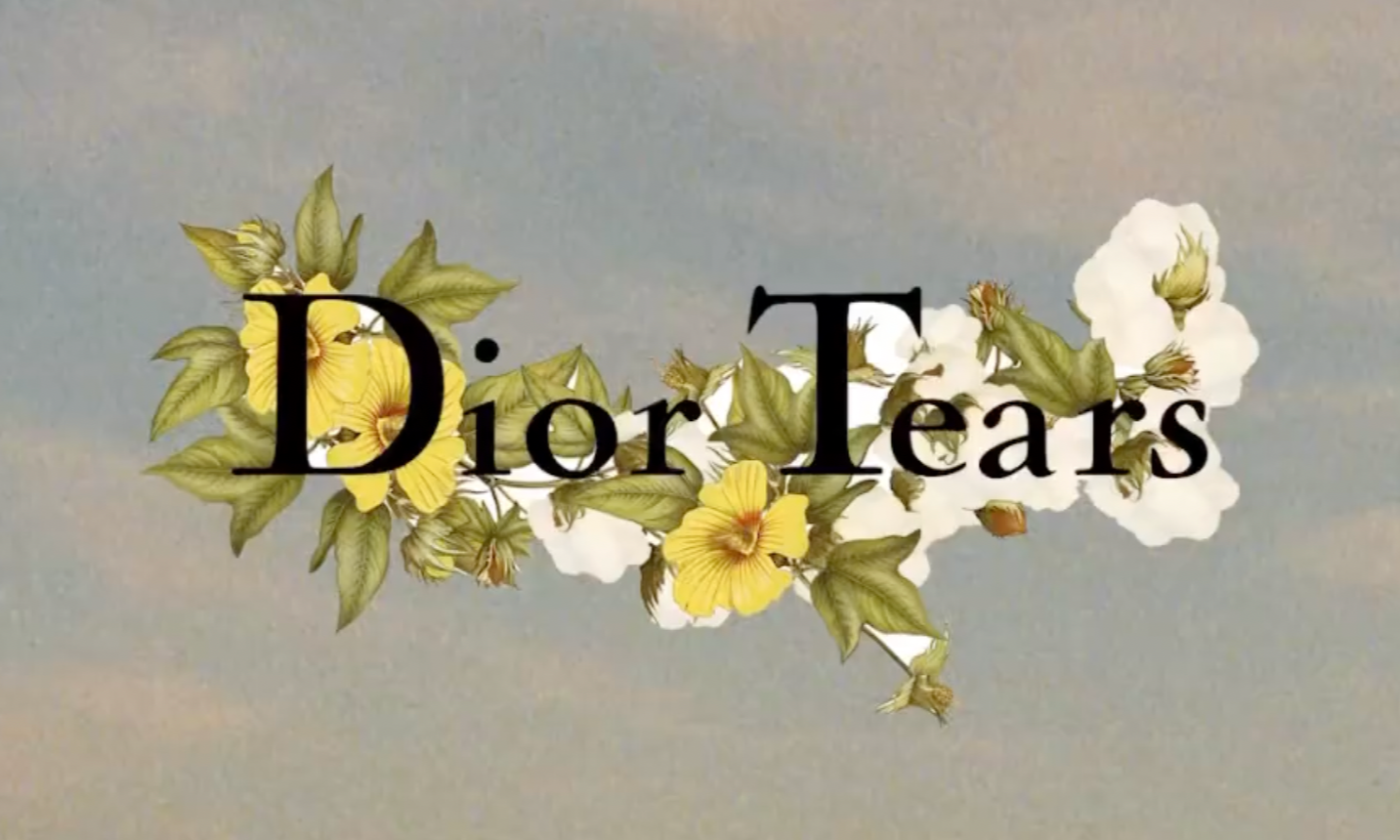 「DIOR TEARS」 合作系列发售宣传片释出