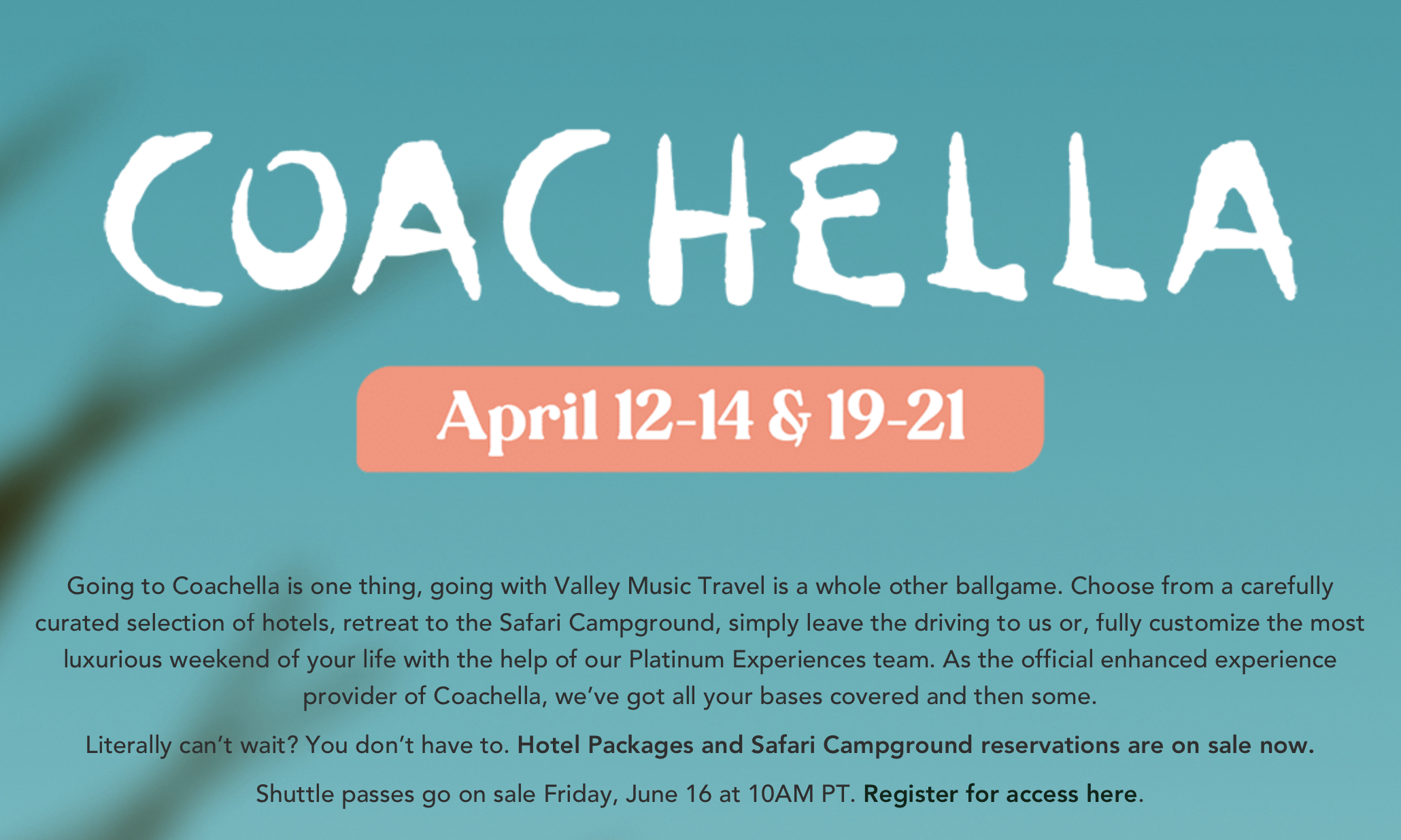 2024 Coachella 音乐节正式定档