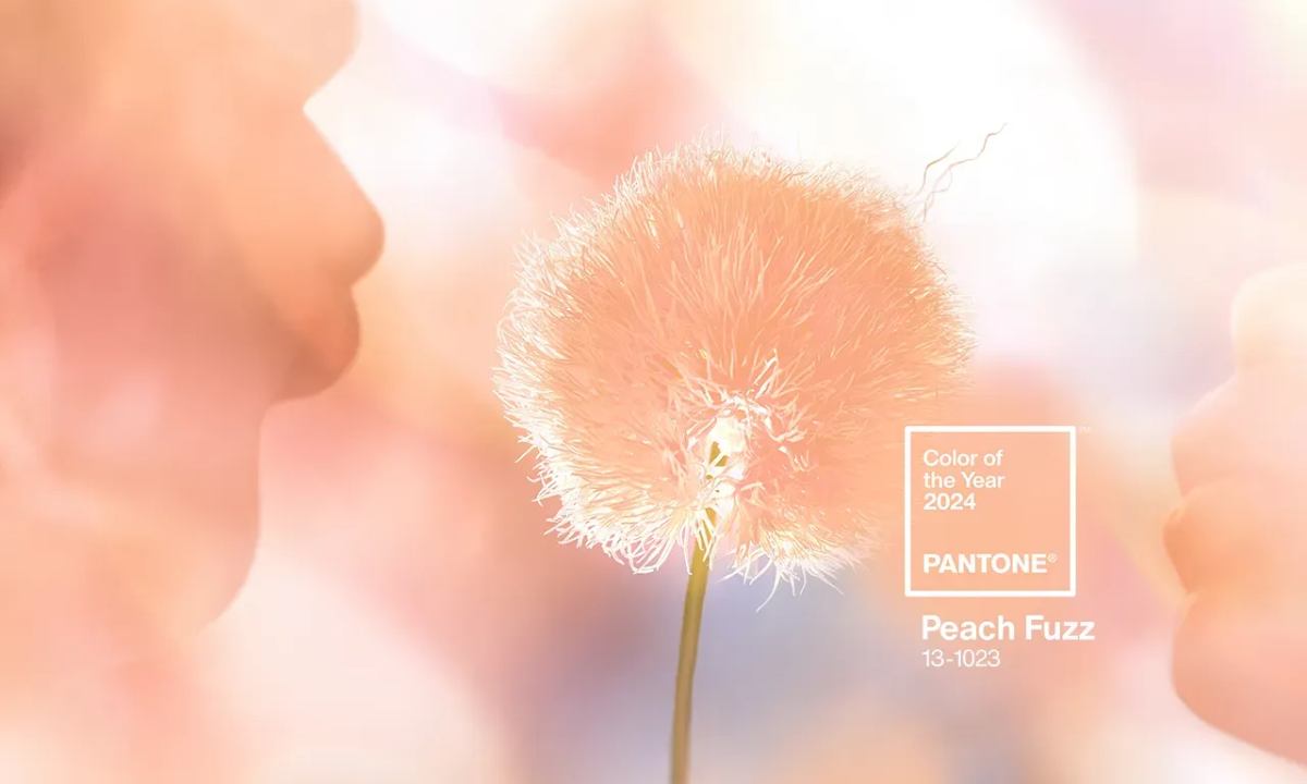 Pantone 公布 2024 代表色「Peach Fuzz」