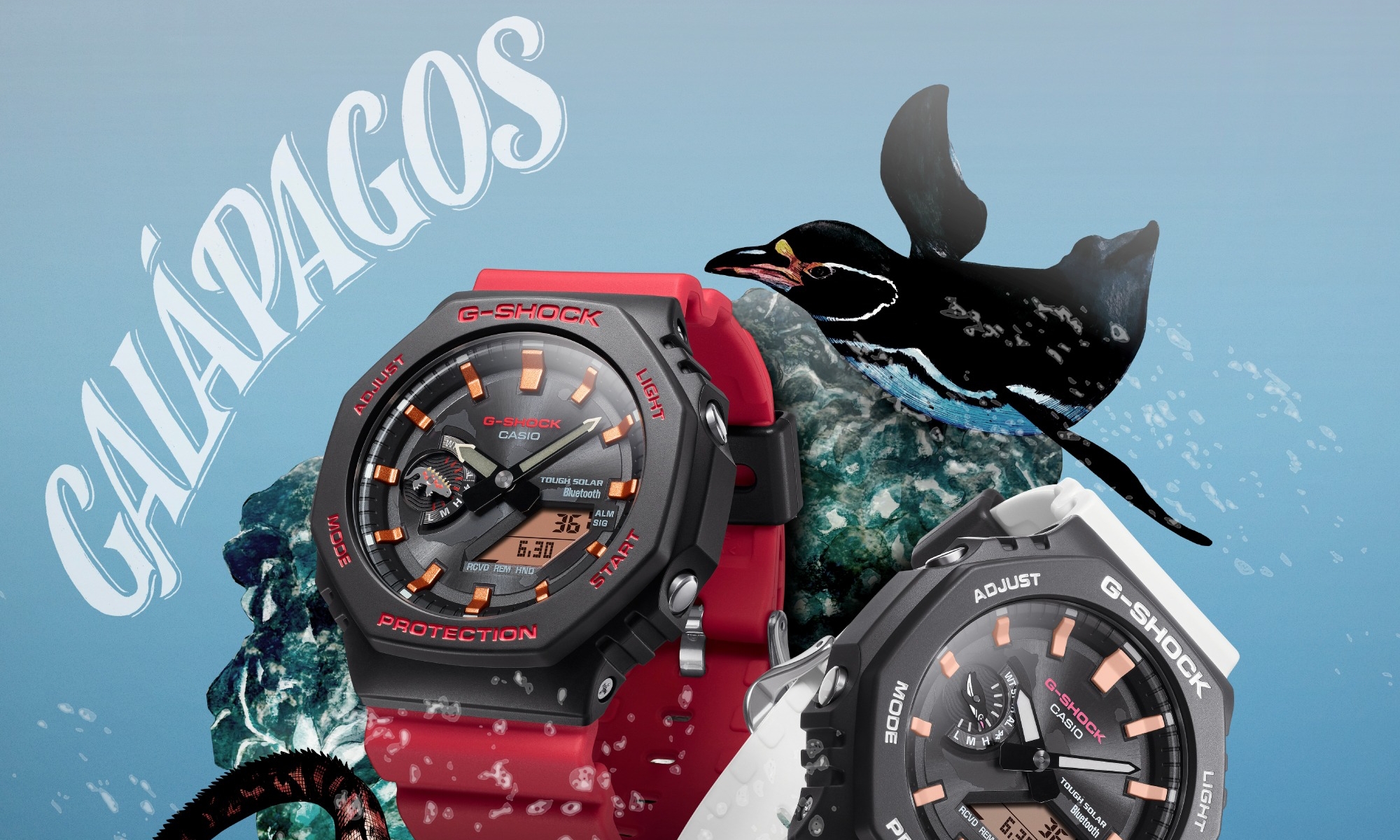 G-SHOCK x Charles Darwin Foundation 全新合作系列发布