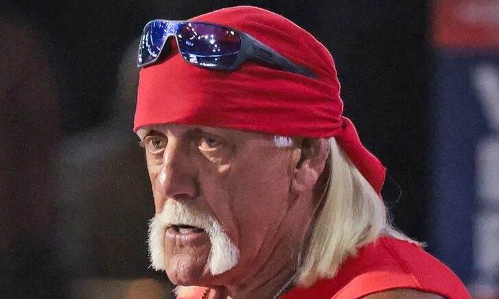 WWE 传奇胡克·霍根去世