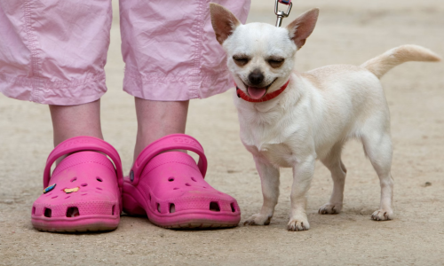 Crocs 股价大幅下跌