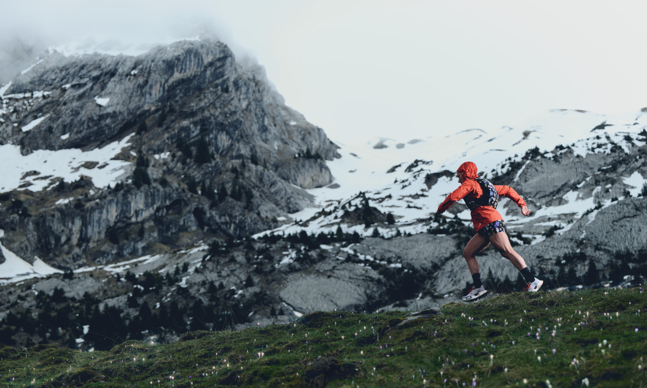 The North Face 北面 Summit Series™ 巅峰系列 Flora Alpina 限量发售
