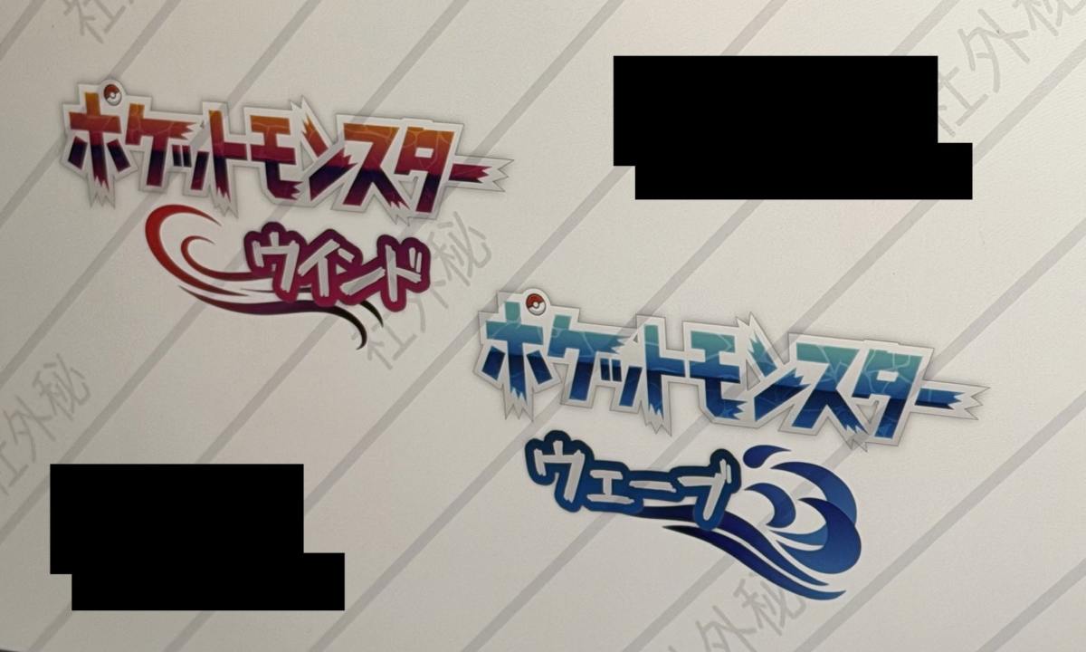 Pokémon 第 10 世代新作资料外泄