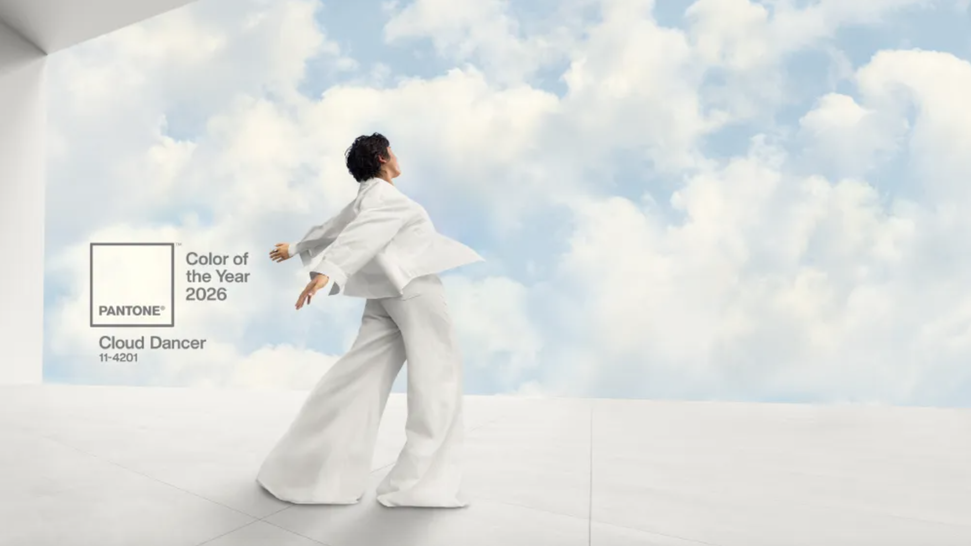 Pantone 回应年度流行色争议-百货之家