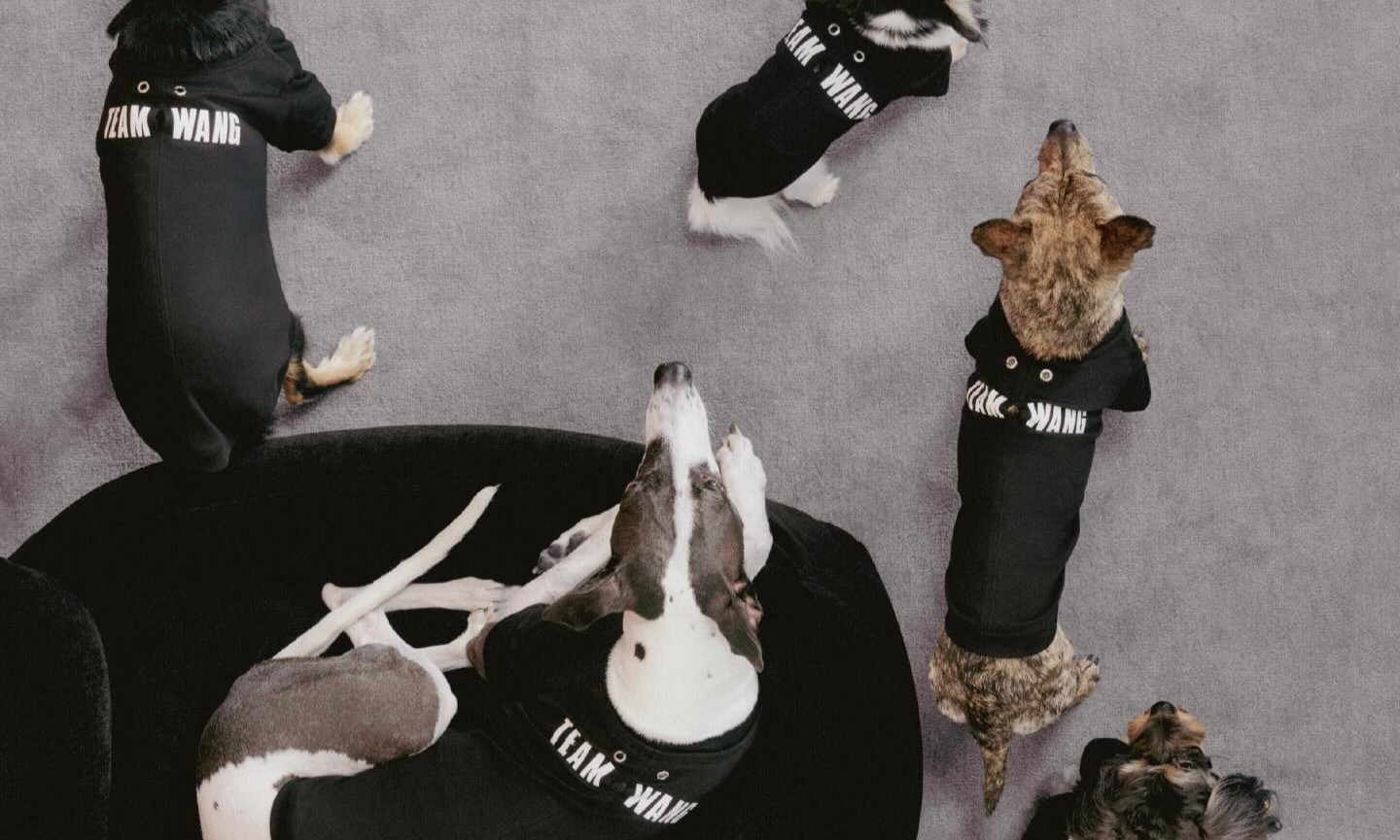 TEAM WANG design 增添全新支线「FRIENDS」