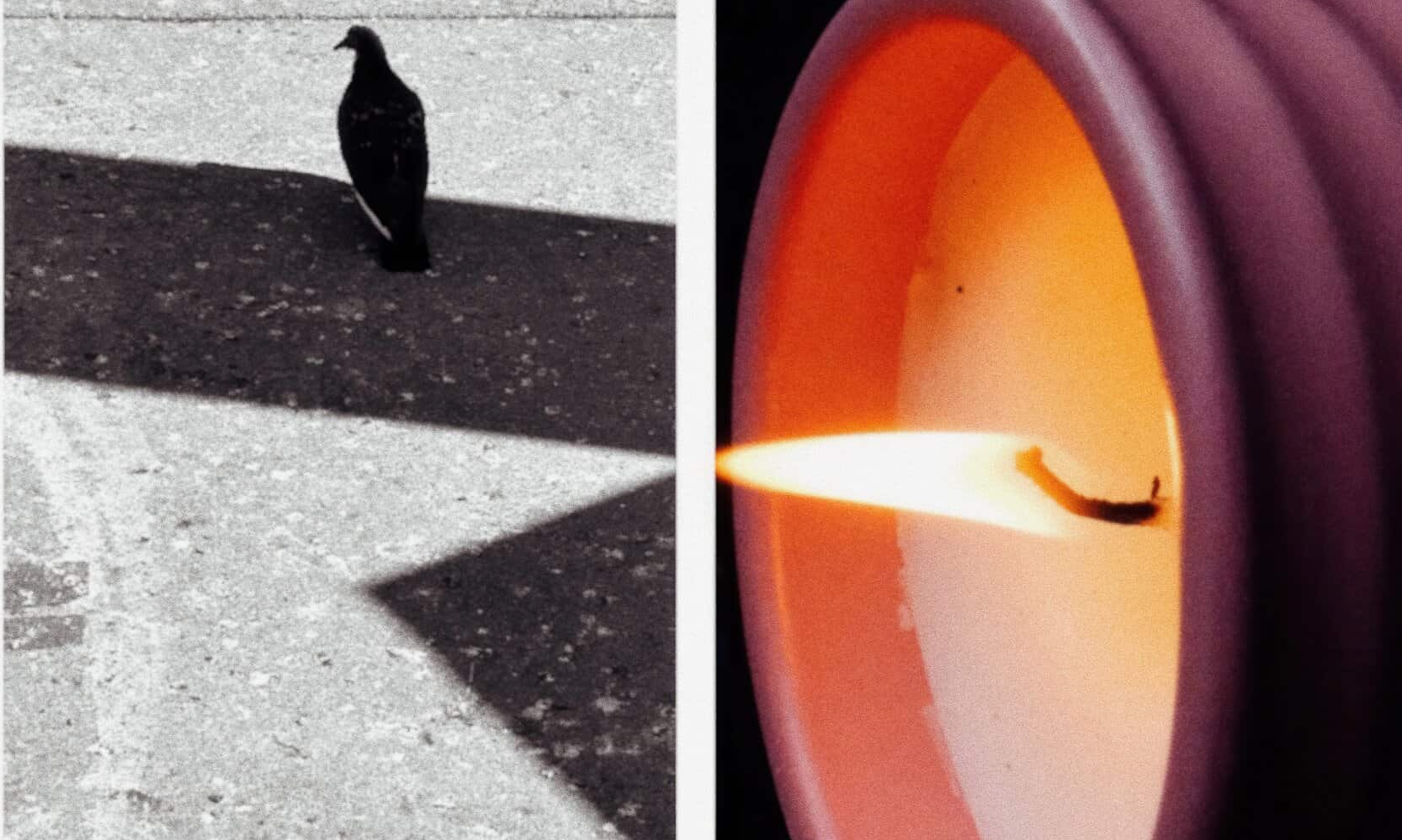 LOEWE 携手摄影师 Joakim Möller 呈现全新 LOEWE Home Scents 系列影像