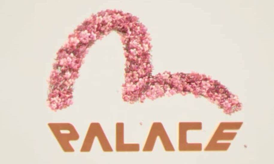 PALACE Skateboards x EVISU 合作系列即将发布