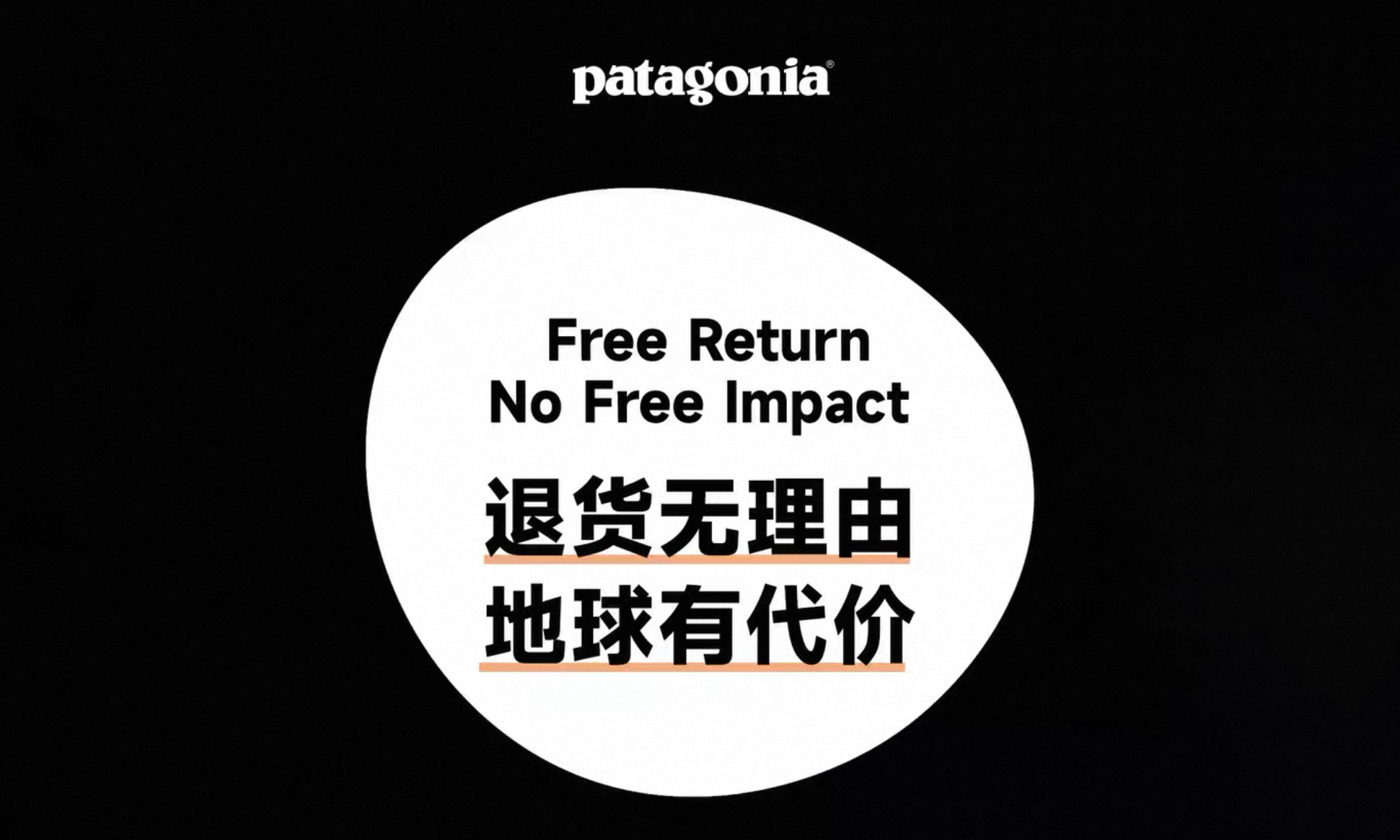 Patagonia 的「地球使用费」，该由谁来交?