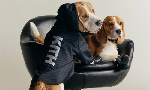 KITH 推出首个宠物系列