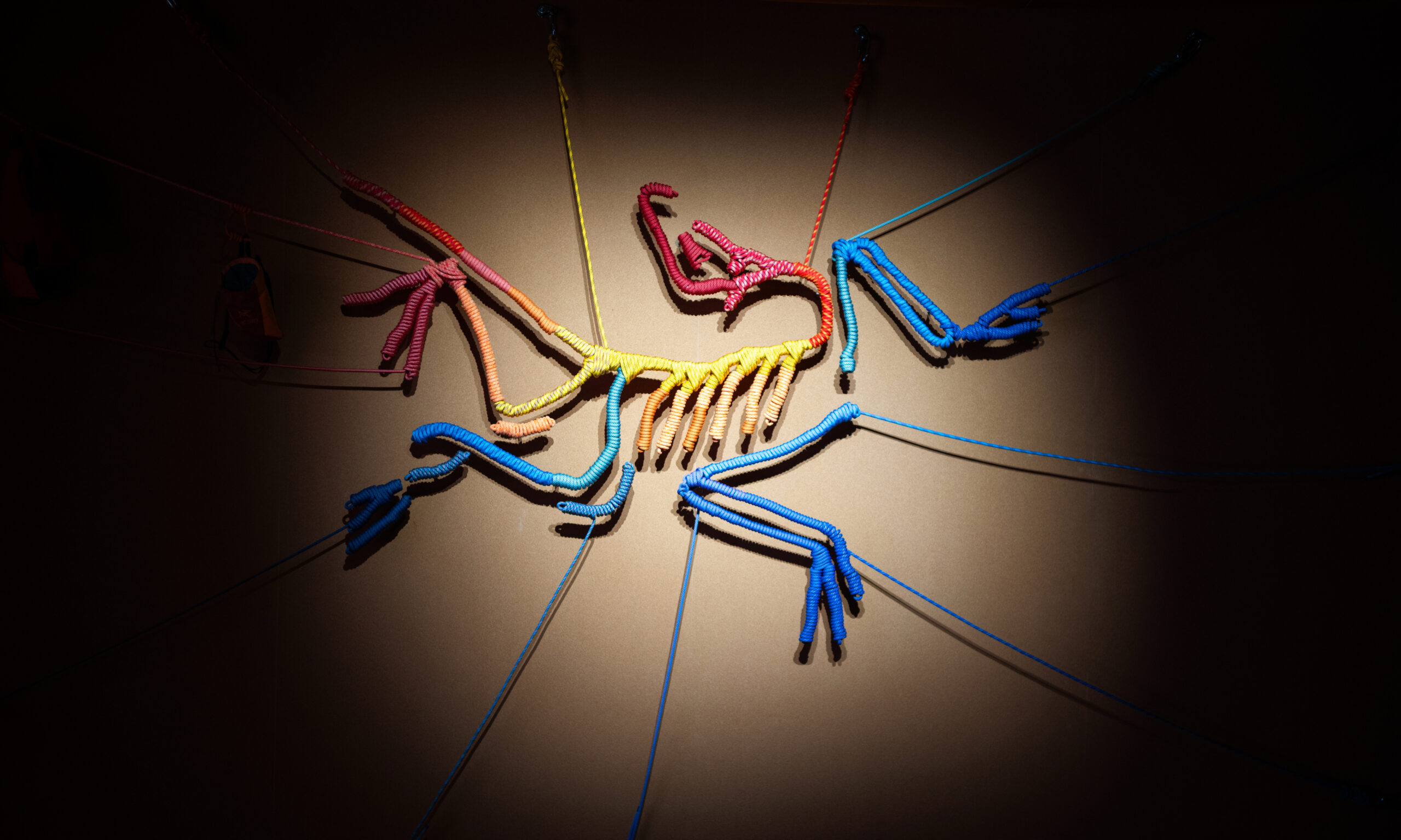 始祖鸟博物馆全新主题展「始于山，归于人」即将开幕