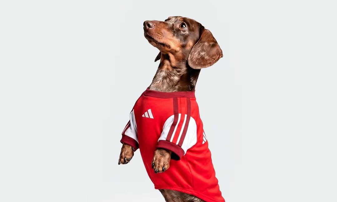 adidas 为宠物打造 FC 足球系列球衣及配件