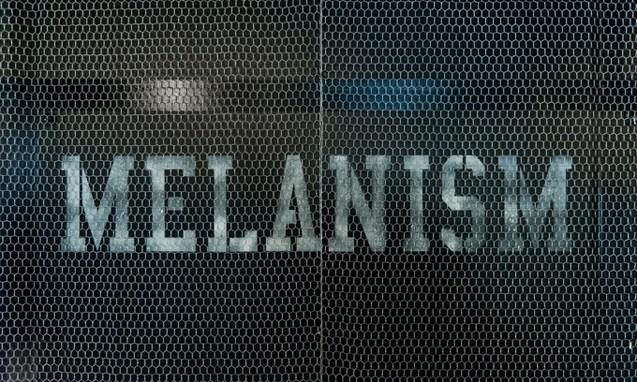 the POOL aoyama “ MELANISM ” 期间限定空间详览