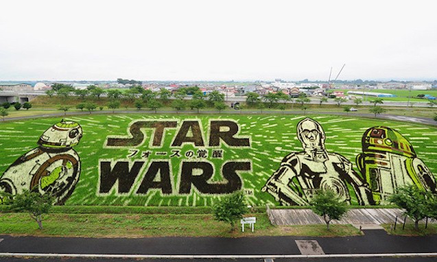 日本青森县稻田展示巨幅「Star Wars」艺术创作