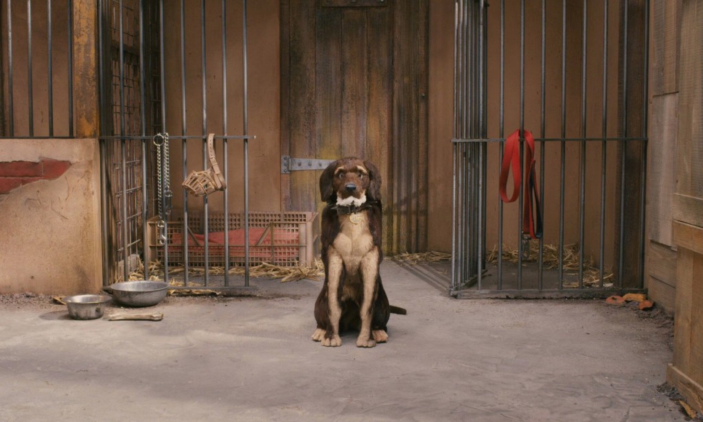 动物定格动画，Wes Anderson 正筹备拍摄下一部电影作品
