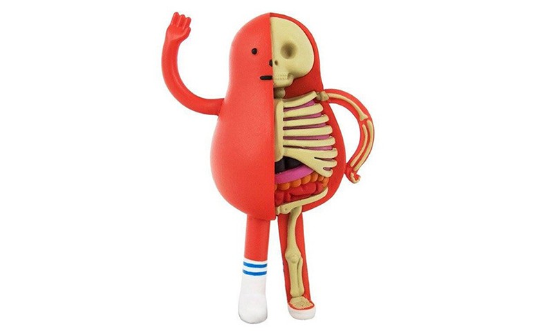 Sticky Monster Lab 以带来 KAWS 视感的解剖玩偶