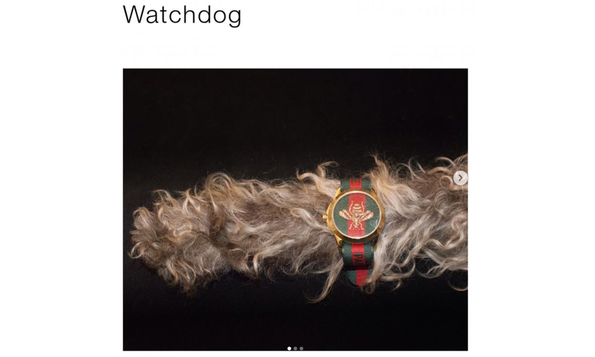 Gucci 成为时尚界的段子手