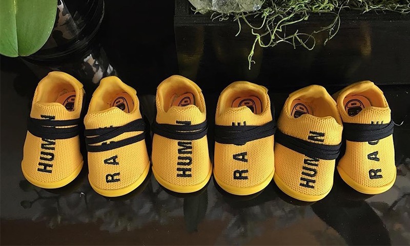 Pharrell Williams 曝光 adidas Originals Hu NMD 童鞋版本